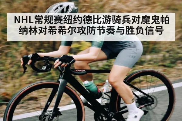 NHL常规赛纽约德比游骑兵对魔鬼帕纳林对希希尔攻防节奏与胜负信号